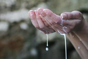 Hands Prayer Milks