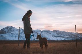 girl and pet near the fence against the background of the mountain