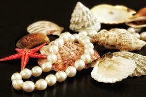 pearls and seashells