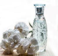 Perfume Glass Bottle
