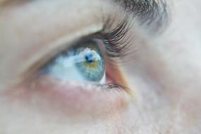 blue Eye Macro