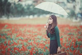 girl with umbrella on the field with blooming poppies