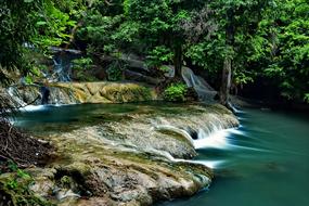 Waterfall Nature and Trees
