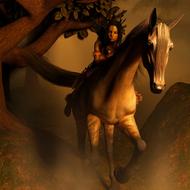mystical woman rides a horse in the fog