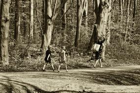 woman with two children in the woods in monochrome