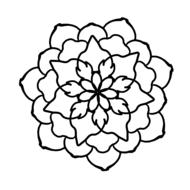 flower cute pretty design drawing