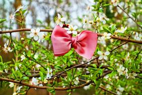 pink ribbon on a tree