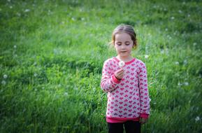 girl with fluffy dandelion on a green meadow