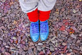 blue sneakers on female legs