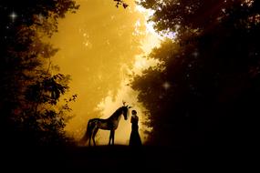 Silhouettes of girl and mystical creature at Dusk
