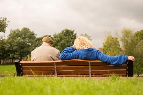 Back view of the people, sitting on the wooden bench, among the beautiful, green trees and grass