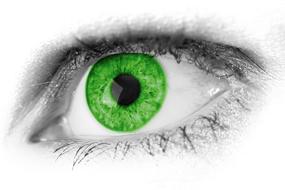Close-up of the beautiful, green and black eye of the woman in black and white colors