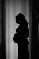 silhouette of Pregnant Woman at window