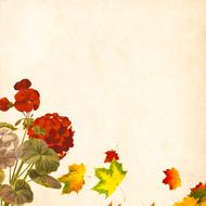 flower background as a vintage
