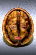 silhouette of a female face on a walnut