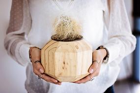 Cactus in Hands of Woman