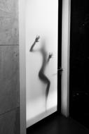 beautiful womanâs silhouette