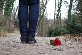 Red Rose On ground beside of female feet