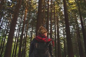 girl in a plaid scarf in the autumn forest
