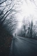 man with umbrella on foggy forest road