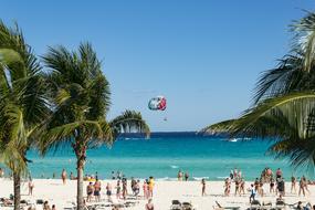 People, on the beautiful sandy beach, with the colorful palm trees, in Cancun, Mexico, near the turquoise water