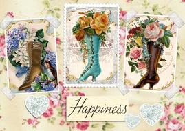 shoes boots vintage rose cards