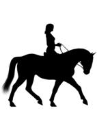 silhouette woman riding horse drawing