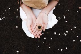 hands of young Woman at forest floor