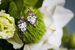 Close-up of the beautiful and colorful earrings on the green and white flowers in spring