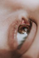 Eye Macro Detail face