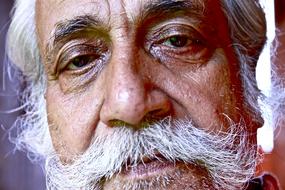 Portrait Beard Face old man