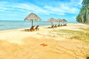 Beautiful sandy beach with the umbrellas and sunbeds near the shoes, and green grass, near the palm trees, at blue sky with clouds on background