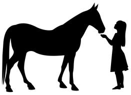 animal equine girl drawing