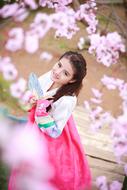 sakura Flowers and Girl Nature