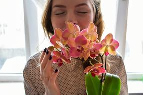 Lovely Woman flowers