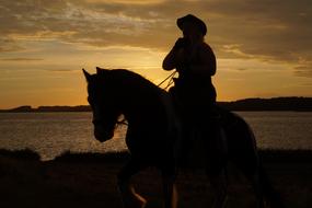 silhouette of a woman on a horse at dusk