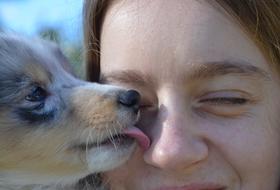 Dog Kiss girls face