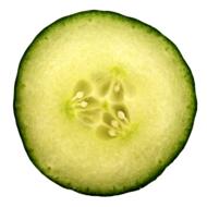 macro photo of a piece of cucumber