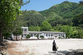 woman green mountain and white school