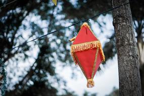 red paper lantern near the tree