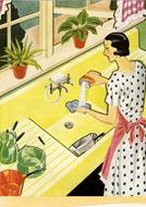 retro drawing, housewife cleaning kitchenware