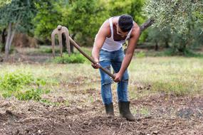 Man with the glasses, working on the colorful and beautiful farm, in summer, with the tool