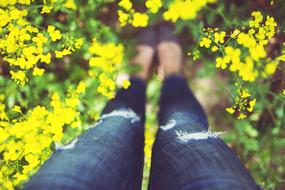 Legs Woman yellow flowers