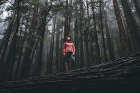 photo of a girl standing on a log in the forest