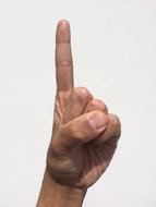 forefinger up