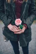 Woman Holding pink Flower