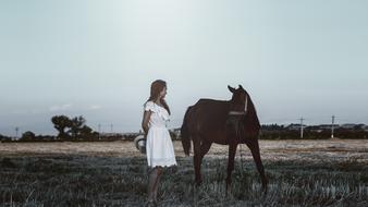 girl in a white dress near the horse