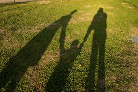 family Shadow on lawn