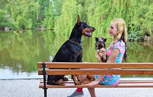 Doberman and Blonde girl with yorkie on bench at pond