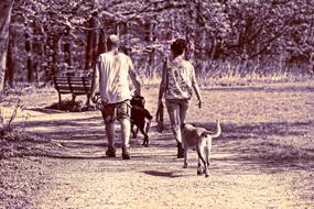 couple with dog walking along the path